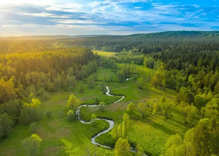 Biala Chatka W Lesie Na Roztoczu
