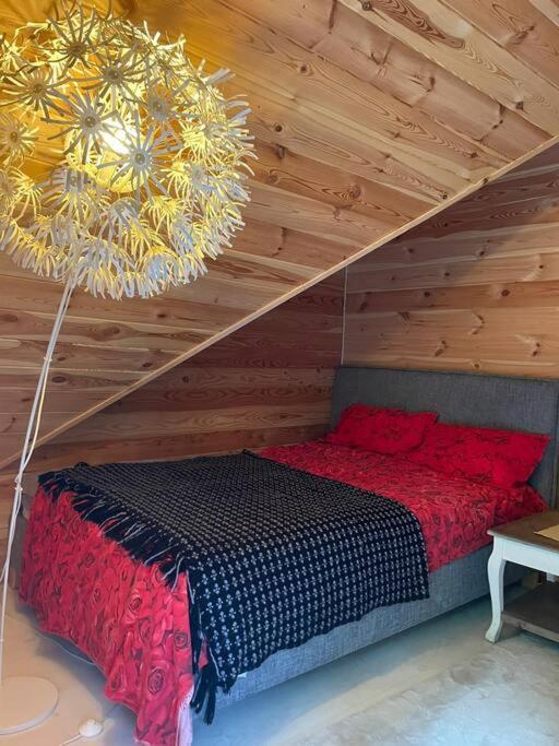Biala W Lesie Na Roztoczu Holiday home