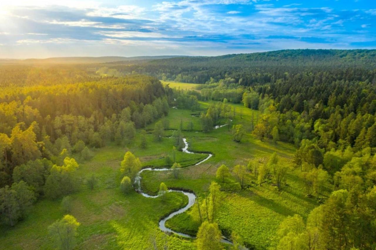 Biala W Lesie Na Roztoczu